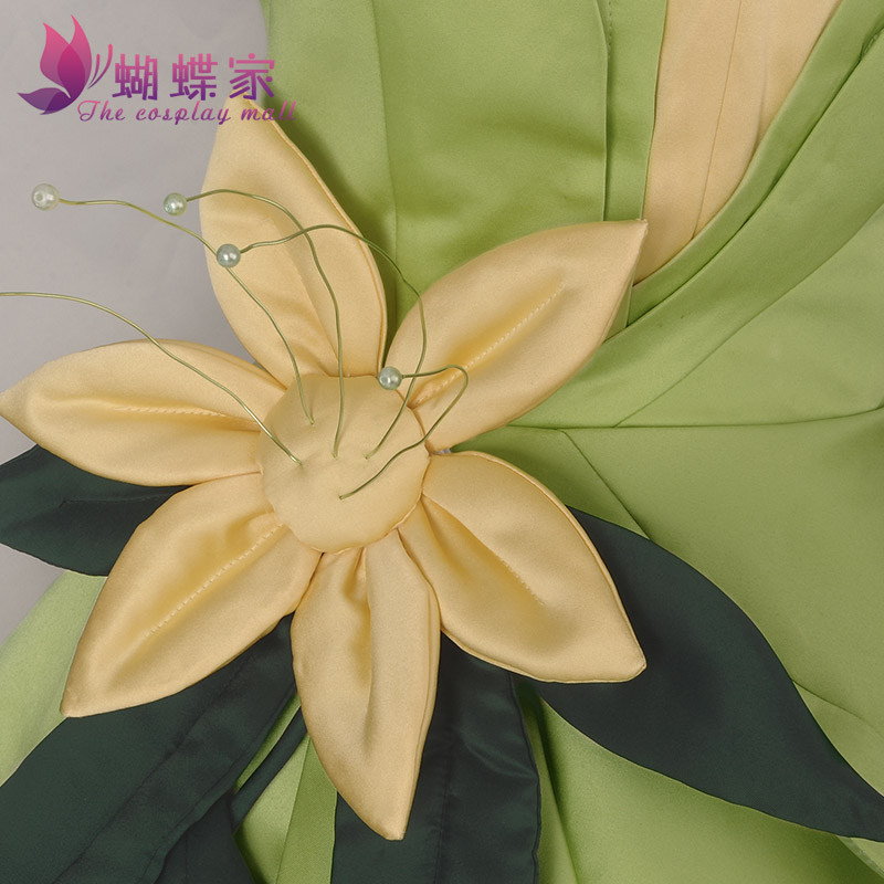 Princess Tiana Dress Cosplay C - Women'S Formal Accessories recension och pris